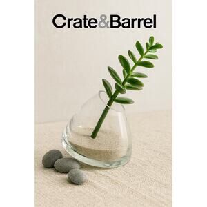 Crate & Barrel Glass Roly Vase